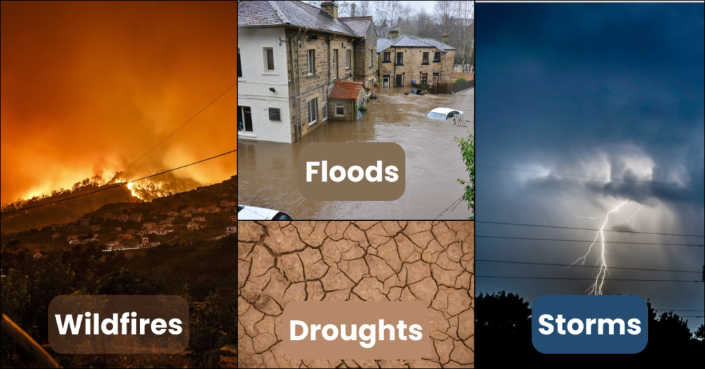 Feature image for Effects of Climate Change