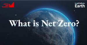 Read more about the article What is Net Zero?